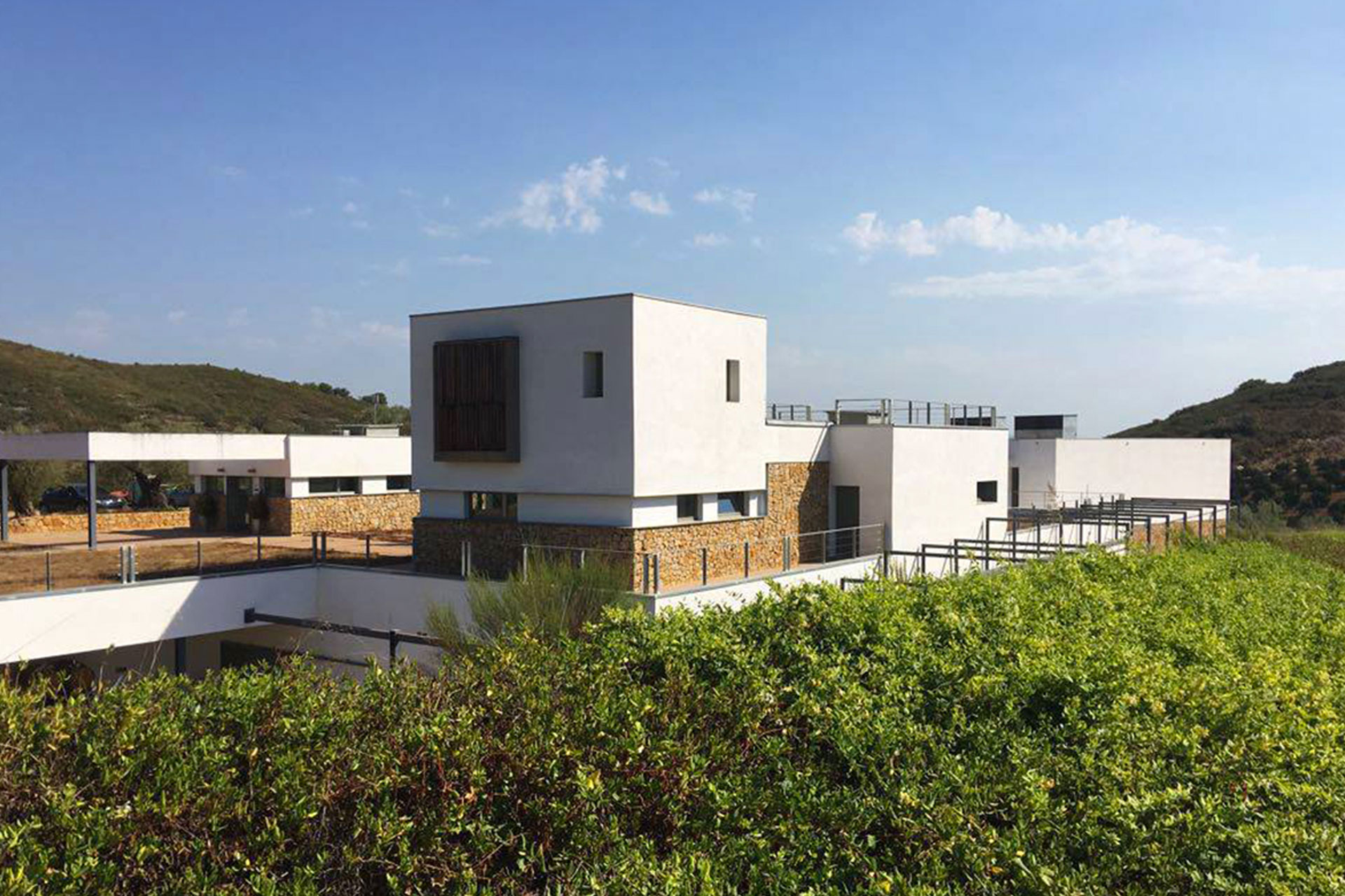 Entorno_bodegas_mas_de_rander2