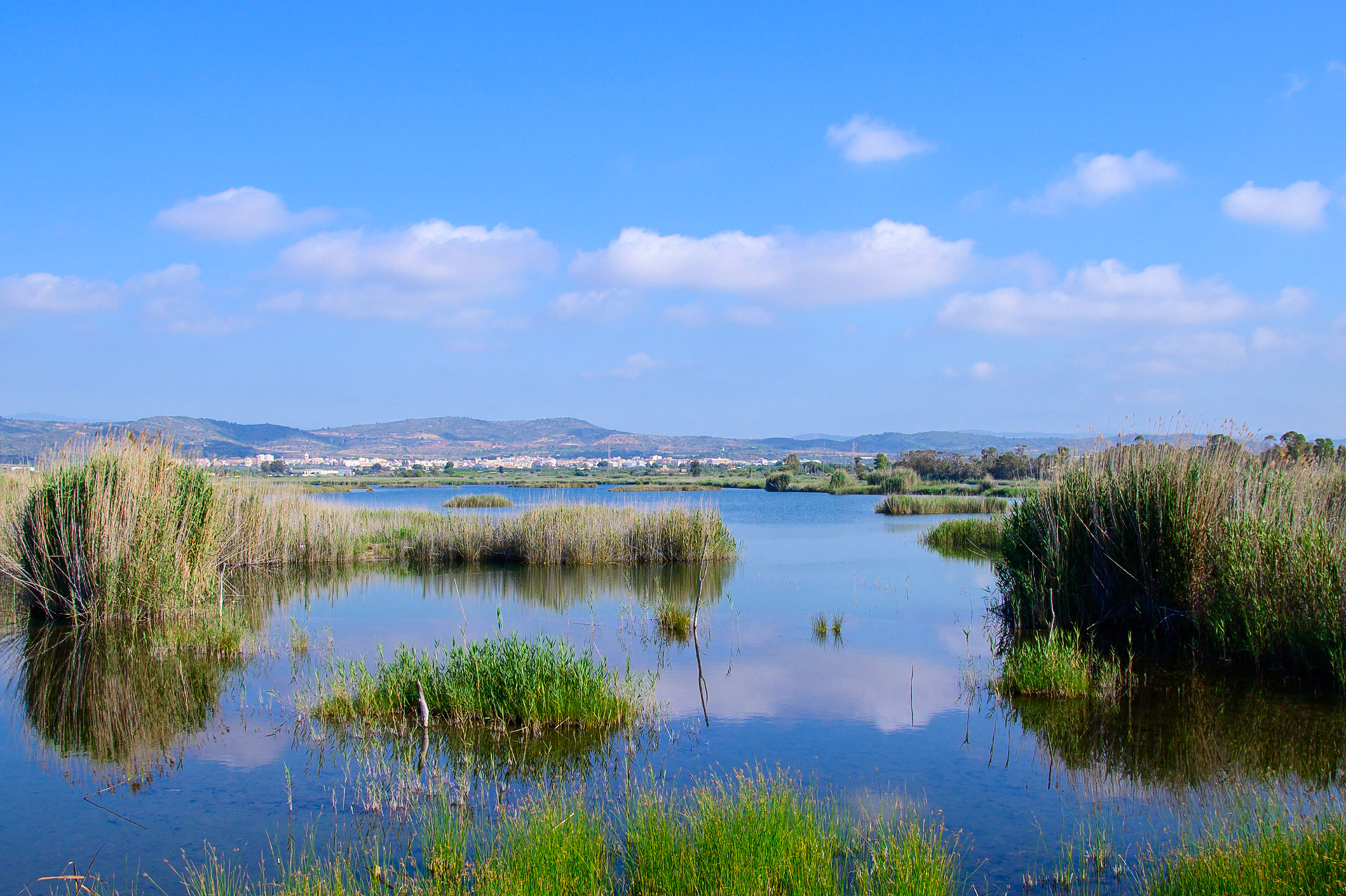 Entorno_parque_natura_el_prat_DSC8118-1920-v2